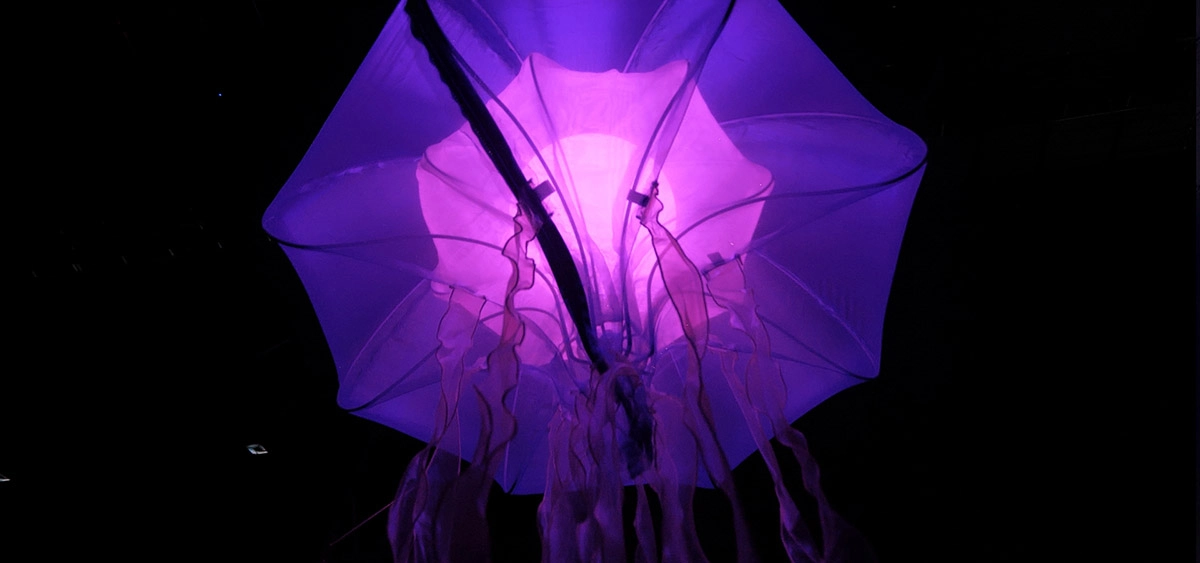 DLB is proud to introduce our latest custom product – the Kinetic Art Jellyfish Light. - FENG-YI