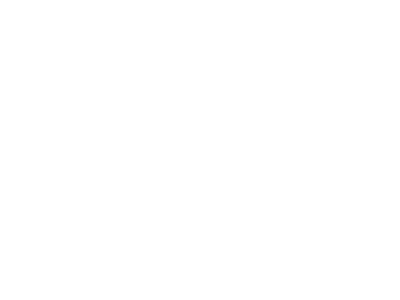 ARCFOX - FENG-YI