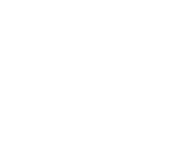 audi - FENG-YI
